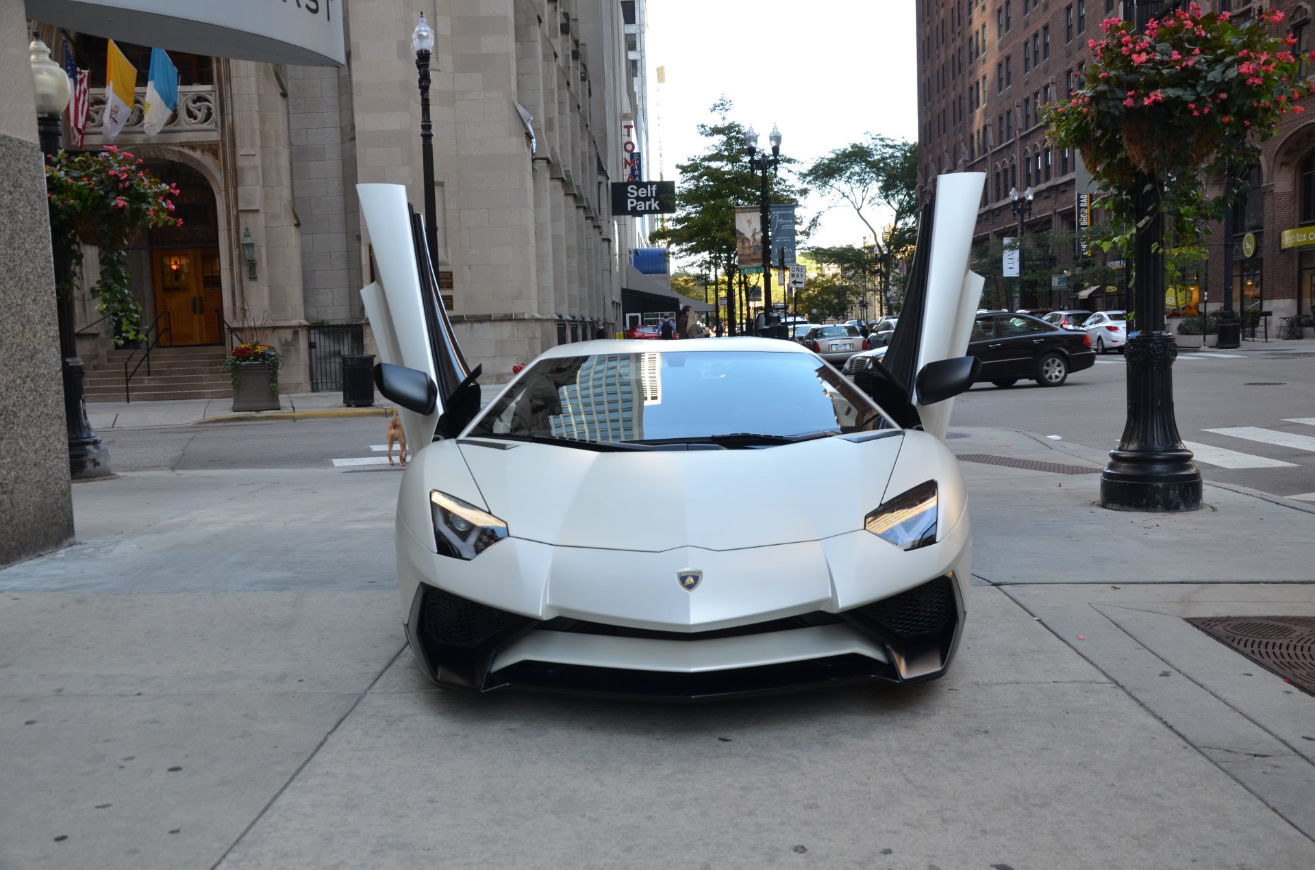 Used 2016 Lamborghini Aventador SV LP 750-4 SV For Sale (Sold) | Lamborghini  Gold Coast Stock #04765